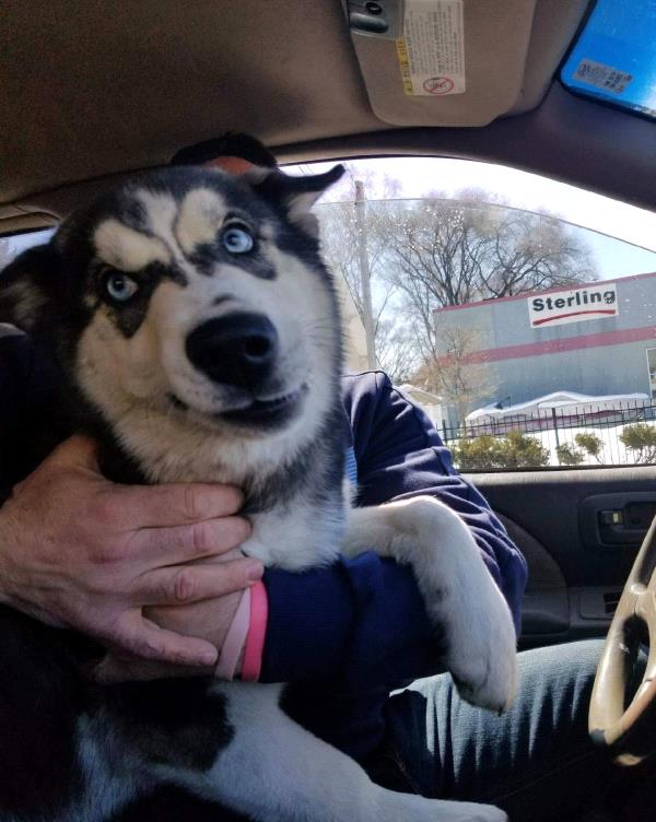 /Images/uploads/Minnesota Spay Neuter Assistance Program/MNSNAP/entries/9430thumb.jpg